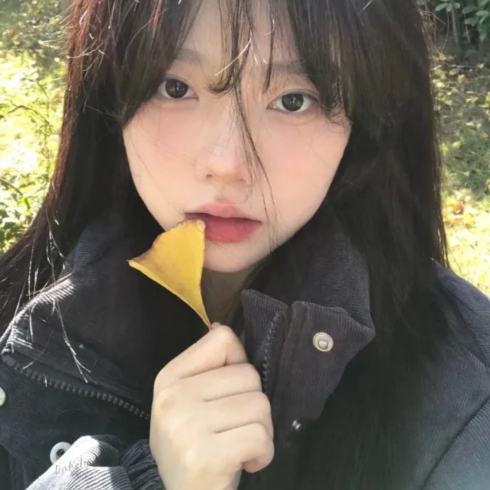 鲸之歌